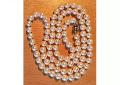 Single-strand cultured pearl necklace (appraised)